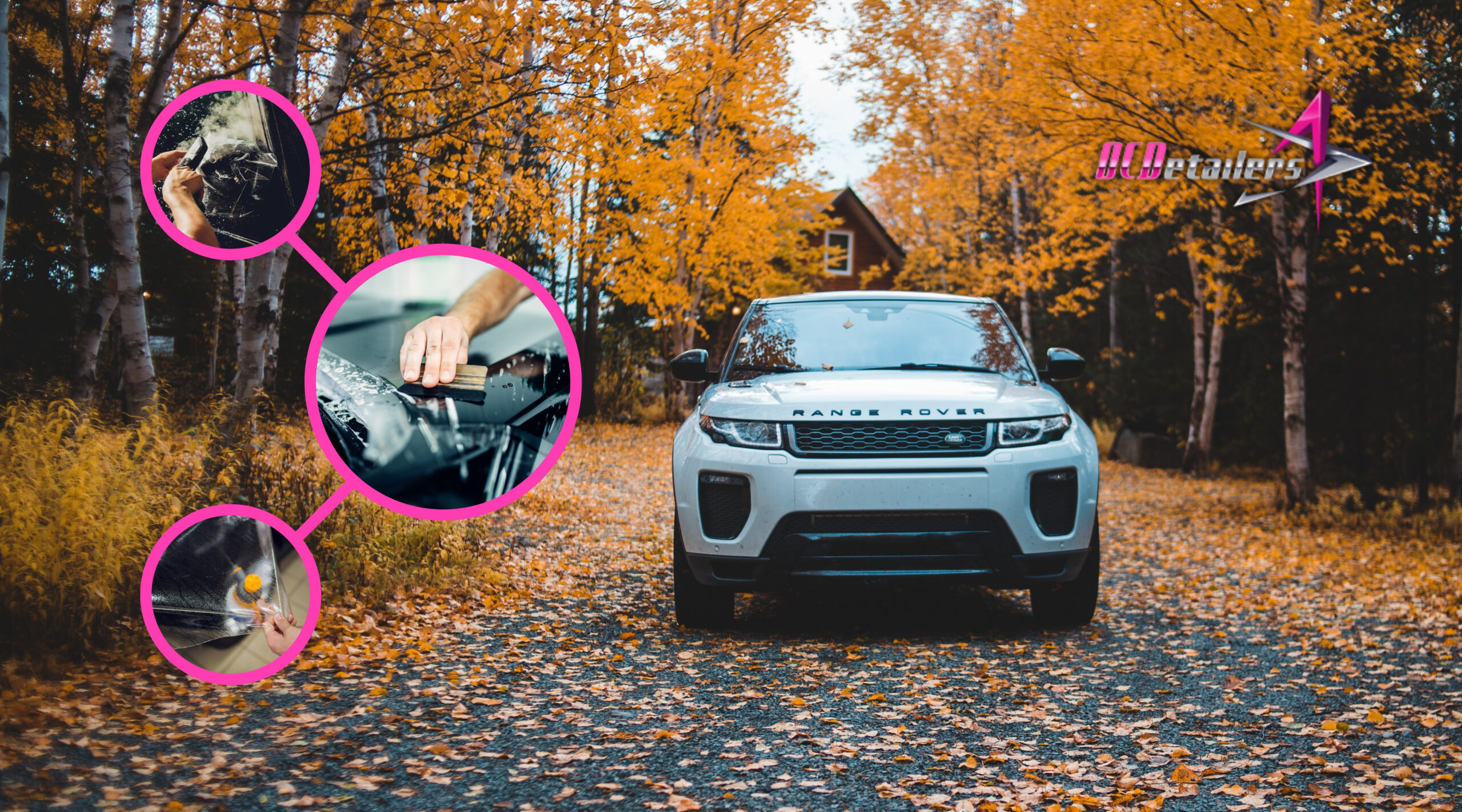 White SUV driving on a tree-lined autumn road, with overlays showing Paint Protection Film (PPF) application on high-impact areas like the hood and bumper to prevent rock chips and seasonal damage.